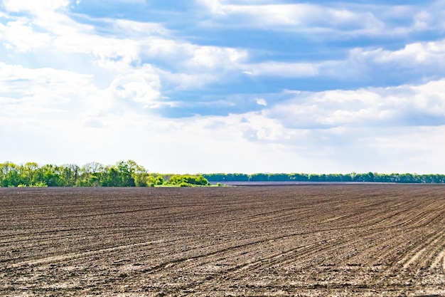 Fotografia sul tema grande campo agricolo vuoto per il raccolto biologico