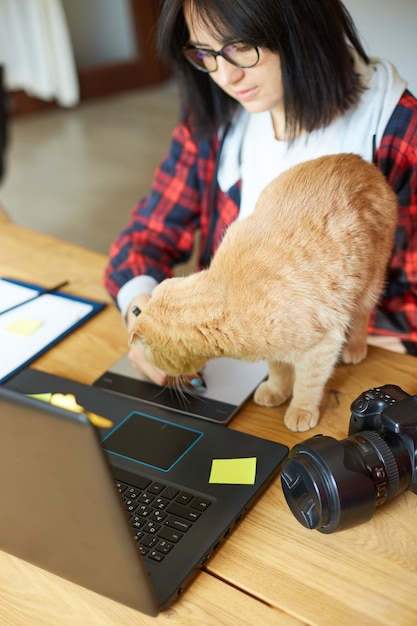 Fotografo femminile creativo con simpatico gatto, utilizzando tavoletta grafica e penna stilo, lavorando alla scrivania e ritoccando foto su computer tablet, ritoccatore sul posto di lavoro in studio fotografico Home office con animali