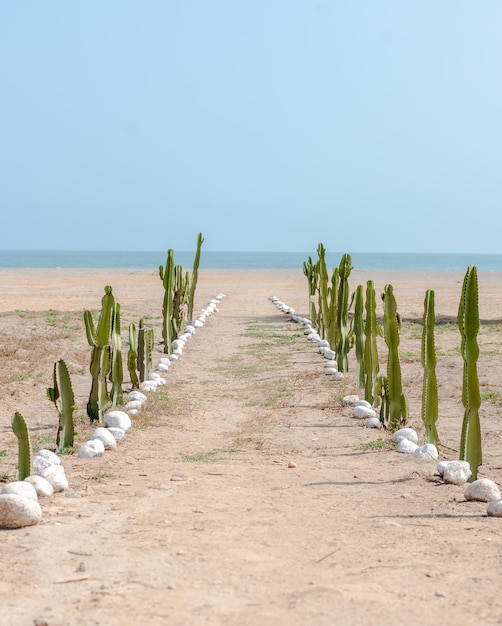 fotolibro della costa peruviana