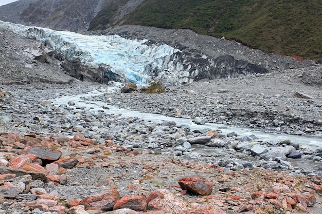 Fox Glacier New Zealand