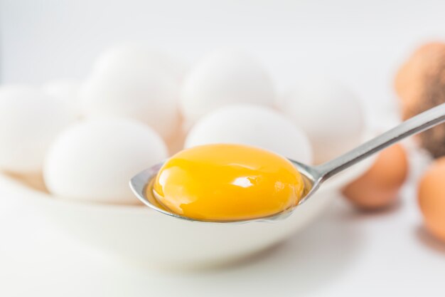 Fragile inizio uccello un cibo nutriente