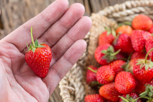 fragola a portata di mano