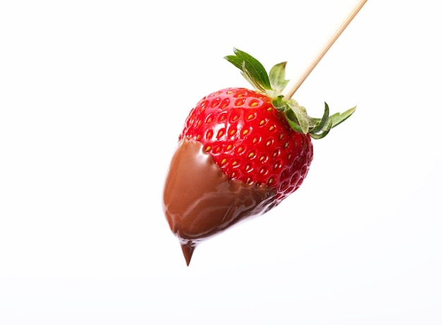 Fragola al cioccolato