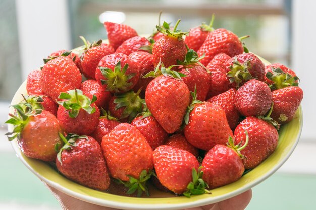 Fragola Bacche organiche fresche macro Sfondo di frutta