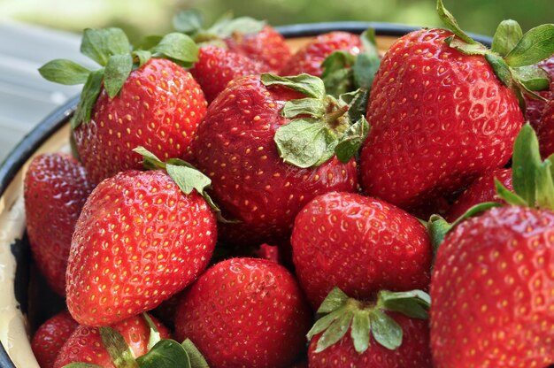 Fragola di frutti di bosco maturi