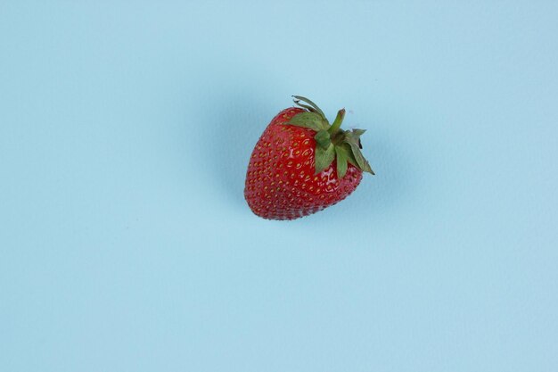 Fragola dolce rossa su sfondo blu Primo piano di una bacca dolce Vista dall'alto