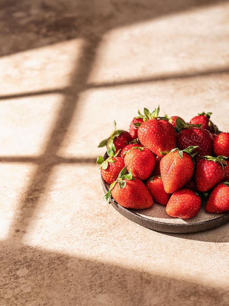 Fragola in piatto con ombre della finestra hursh Spazio di testo estetico creativo minimalista