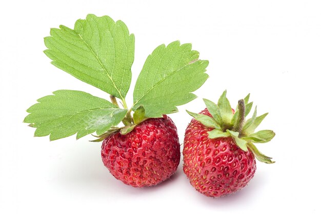 Fragola isolata su bianco