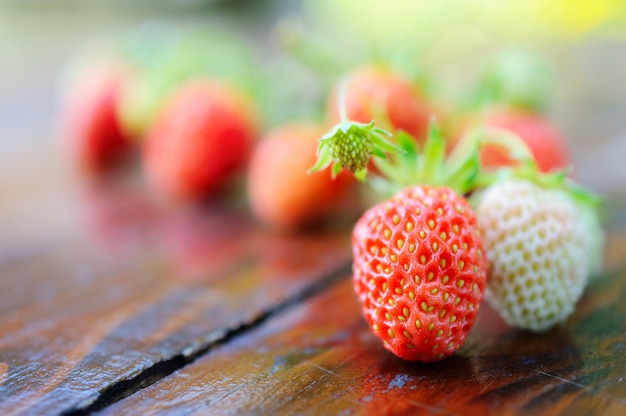 Fragola rossa e bianca sulla tavola di legno.