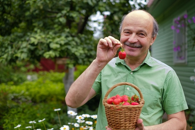 Fragola rossa matura su erba verde