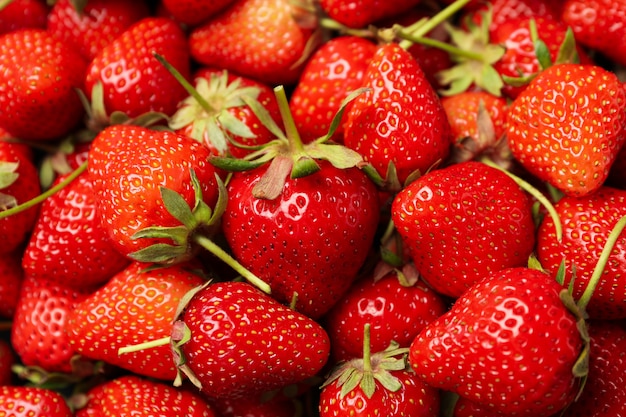 Fragola rossa saporita su intero fondo, fine su. Bacca estiva