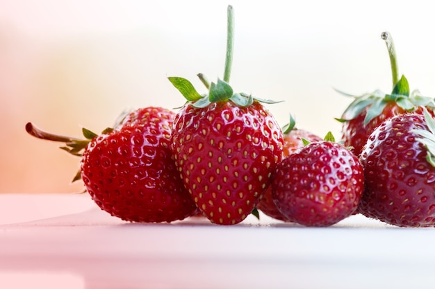 Fragola rossa su sfondo bianco