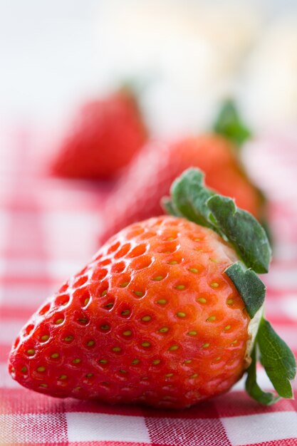 Fragola sulla tovaglia a scacchi