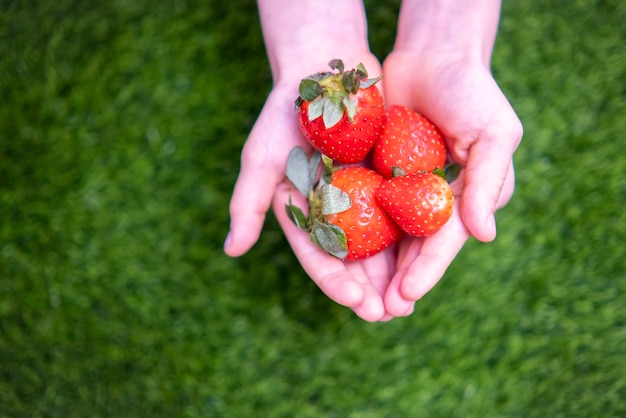 Fragole a forma di cuore felice giorno di San Valentino saluti dieta sana vegetarianismo copia