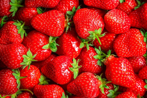 Fragole bacche mature e succose