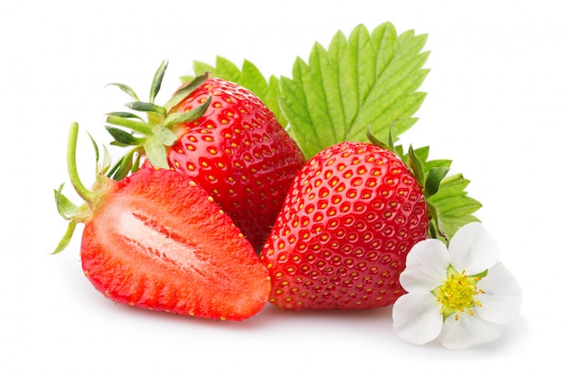 Fragole con foglie e fiori. Isolato su un bianco