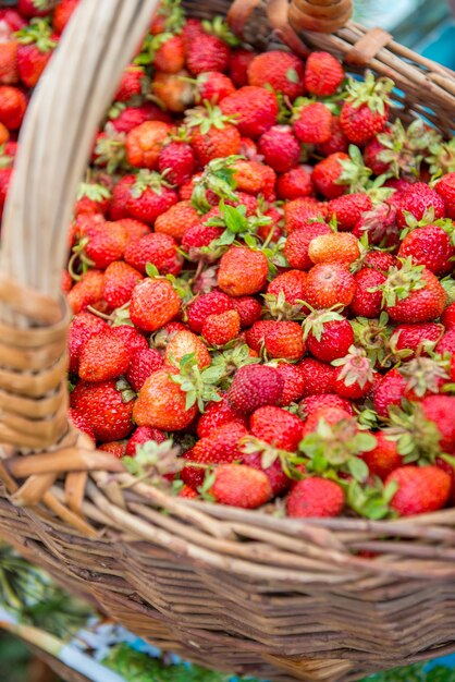 fragole dolci e mature sono nel cestino