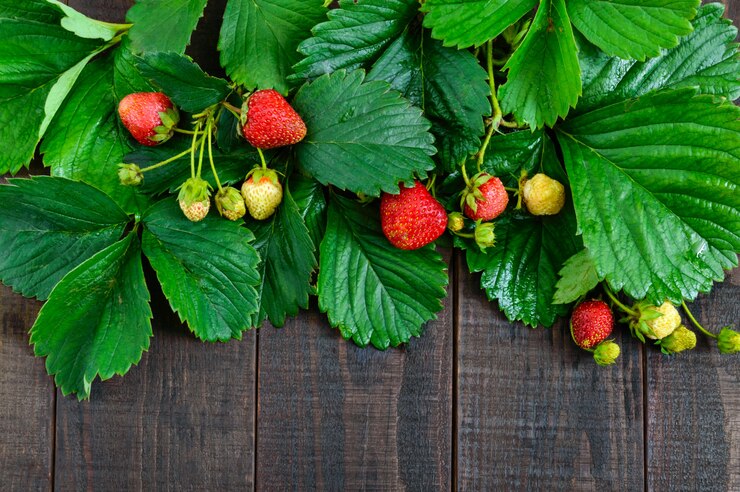 Fragole e foglie verdi su una tavola di legno scura