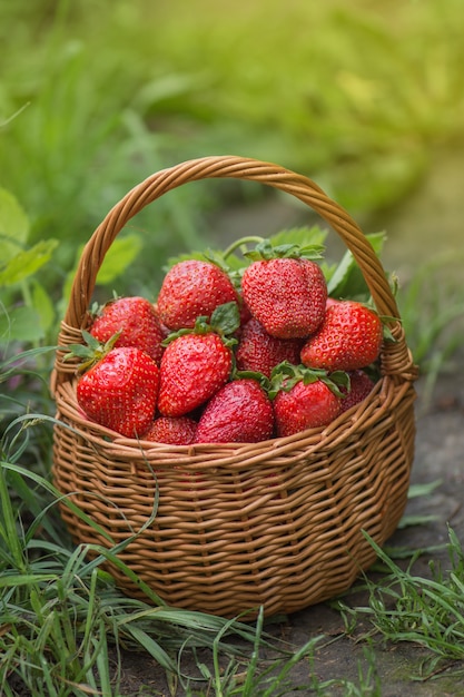 Fragole fresche, dolci e succose su un tavolo di legno