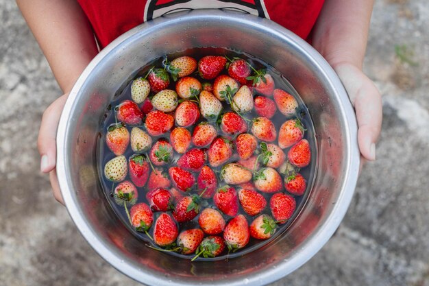 Fragole fresche in una ciotola a portata di mano