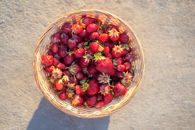 Fragole mature in un cestino di vimini su una tabella grigia