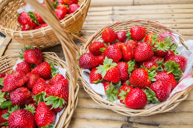 Fragole nei giardini all&#39;aperto