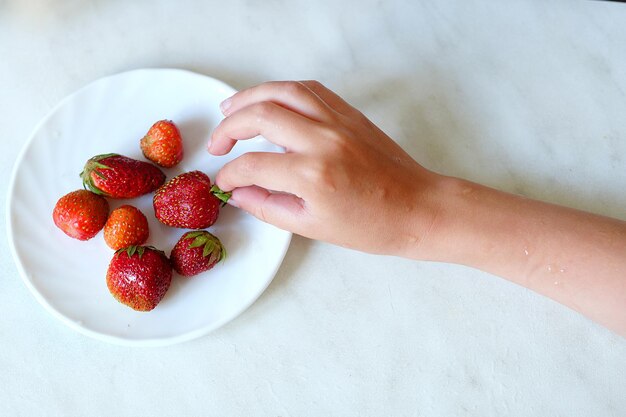 Fragole nelle mani che raccolgono bacche