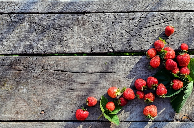 Fragole su legno rustico con copia spazio