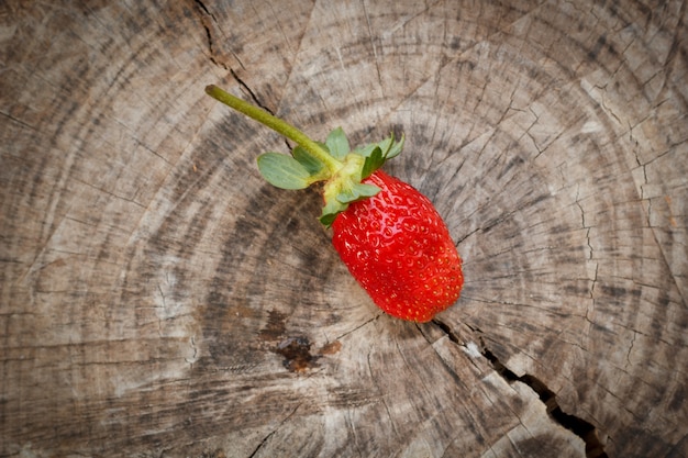 fragole sul tavolo del giardino