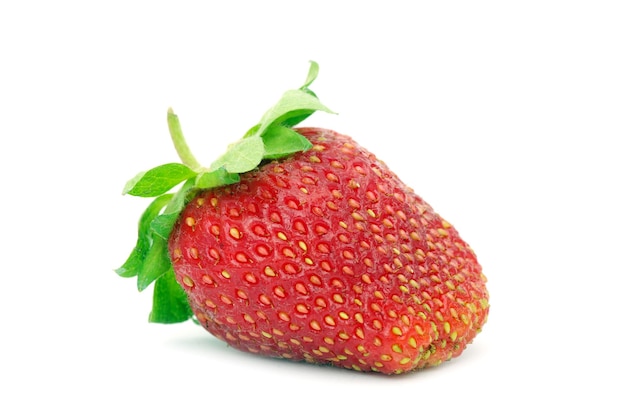 Fragole