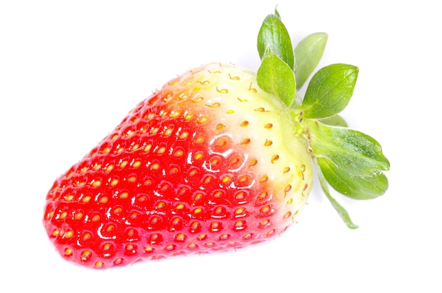 Fragole