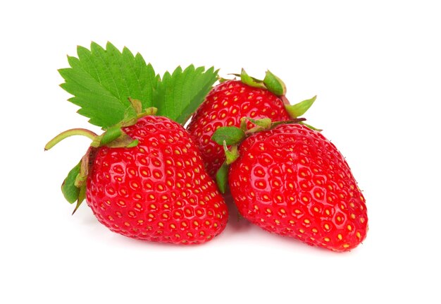 Fragole