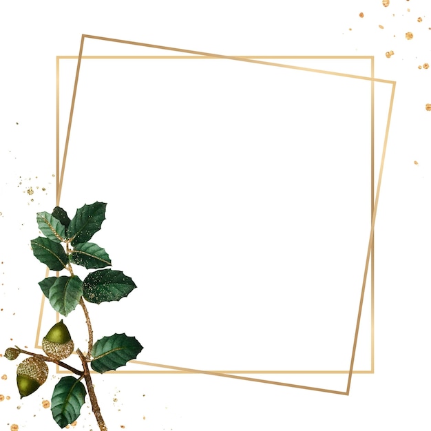 Frame quadrato png ghianda foglie verdi