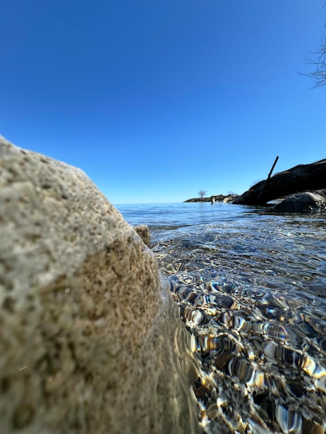 Frammenti di alberi dall'acqua Paesaggio marino con rocce Acqua di mare blu Rocce sott'acqua