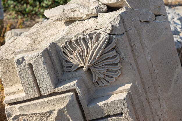 Frammento di stampaggio in stucco sulle rovine dell'Acropoli di Amathus