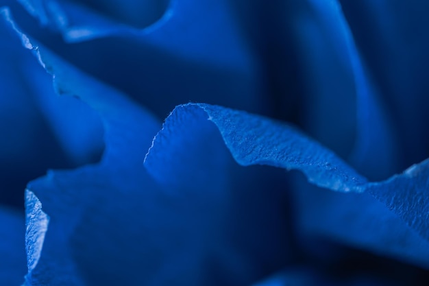 Frammento di un fiore blu in carta crespa Sfondo sfocato