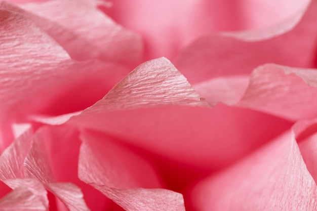 Frammento di un fiore rosa chiaro fatto di carta crespa Macrofotografia