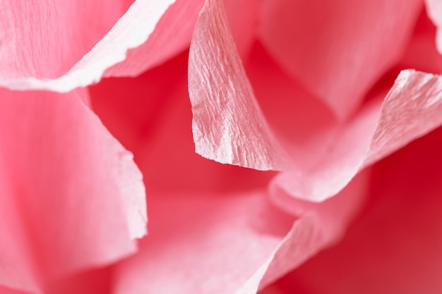 Frammento di un fiore rosa chiaro fatto di carta crespa Macrofotografia