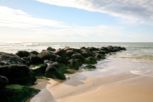 Frangiflutti nella spiaggia atlantica francese del litorale