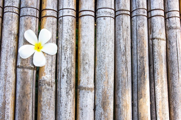 Frangipani su pavimento Bamboo