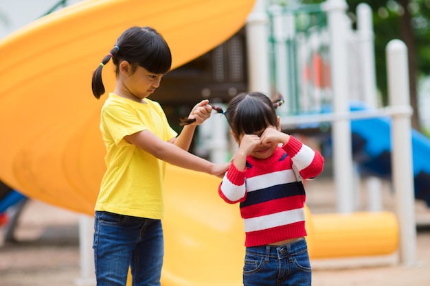 Fratelli germani che prendono in giro, bambina asiatica che tira i capelli di sua sorella nel parco giochi