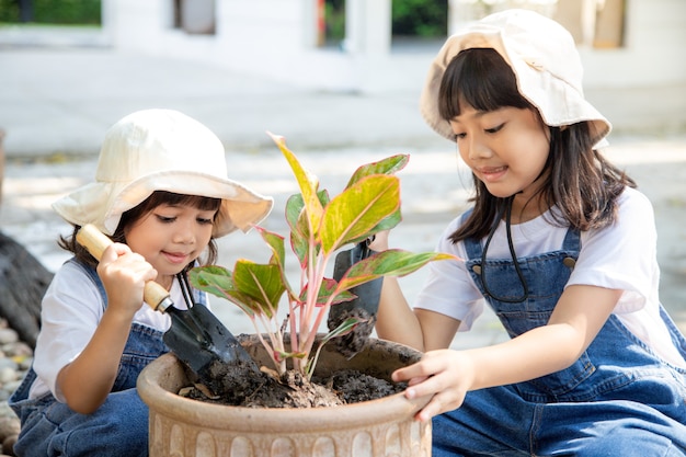 Fratelli germani La ragazza asiatica sta piantando un albero di fiori primaverili in vasi nel giardino fuori casa, l'educazione dei bambini della natura. prendersi cura di una nuova vita. concetto di vacanza per la giornata della terra. Giornata Mondiale per l'Ambiente. ecologia.