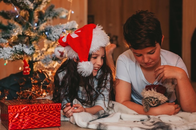 fratello e sorella che giocano con il gattino sotto l'albero di Natale