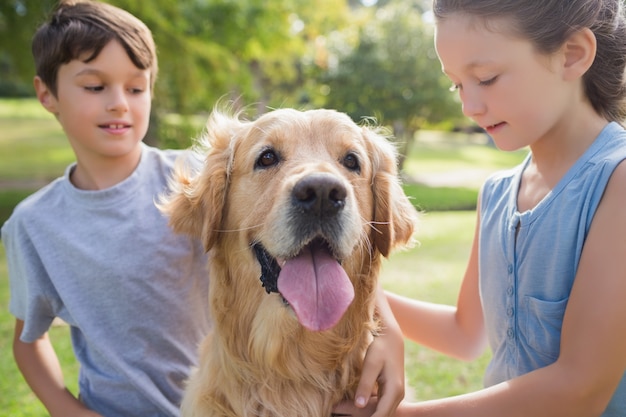 Fratello germano con il loro cane nel parco