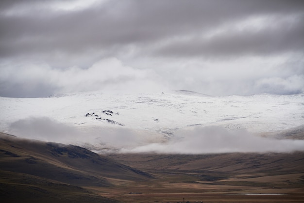 Freddo tempo nuvoloso nella zona della steppa. L'altopiano di Ukok di Altai. Favolosi paesaggi freddi. Qualcuno in giro