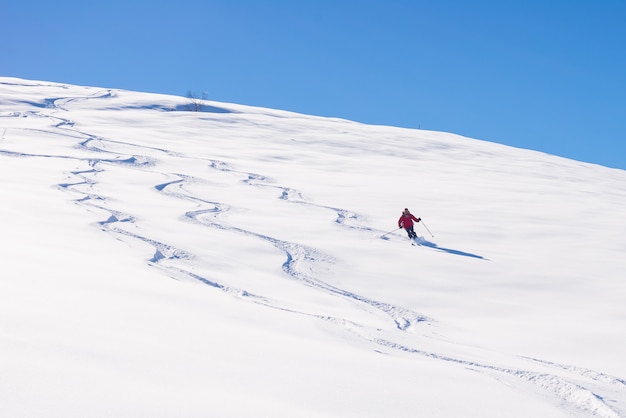 Freeride su neve fresca e polverosa