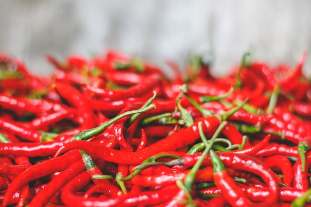 Freh red chili peppers sul mercato