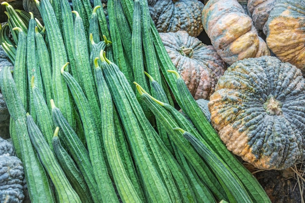 Fresca angolilla e zucca