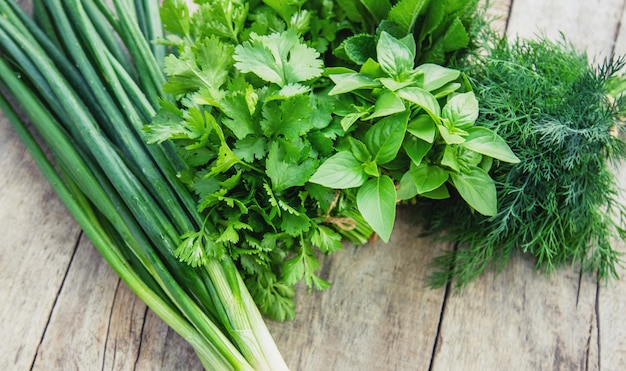 Fresche verdure fatte in casa dal giardino.