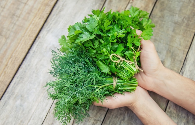 Fresche verdure fatte in casa dal giardino.